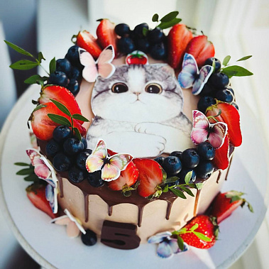 Торт "Котенок" купить - сергиевпосад.сладкоежкин.рф